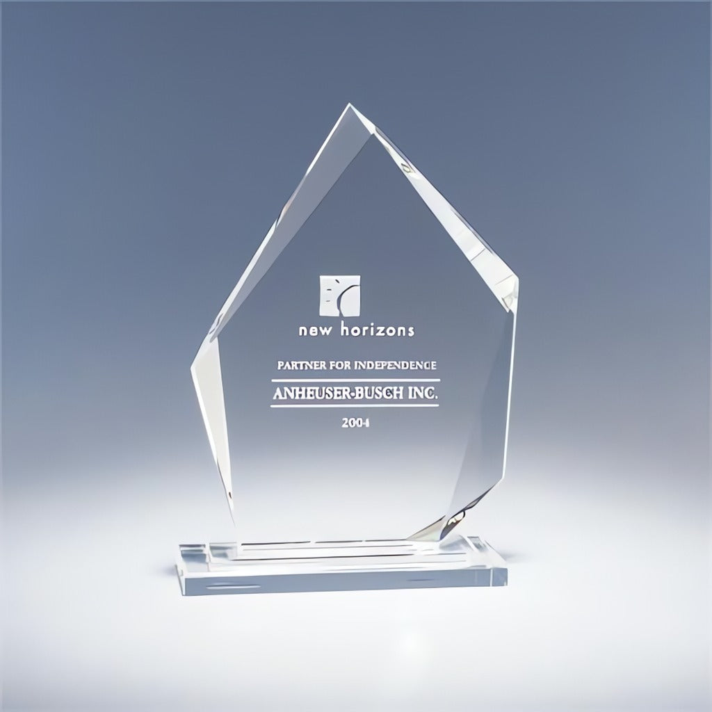 Crystal Summit Award