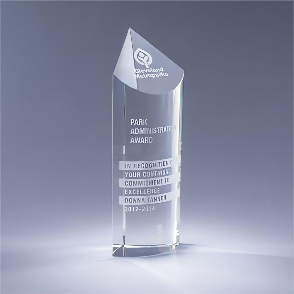 Scope Award