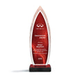 Luminous Pinnacle Award