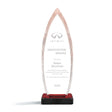 Open Pinnacle Award