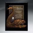 Small Digi-Color Direct Plaque