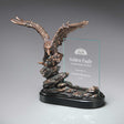 Bronze Clear Black